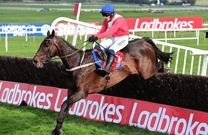 Horse Racing: Understanding the Different Types of Races