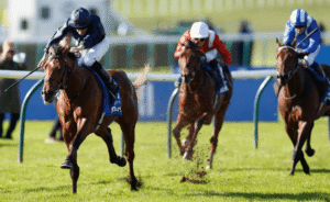 Horse Racing: Understanding the Role of Trainers