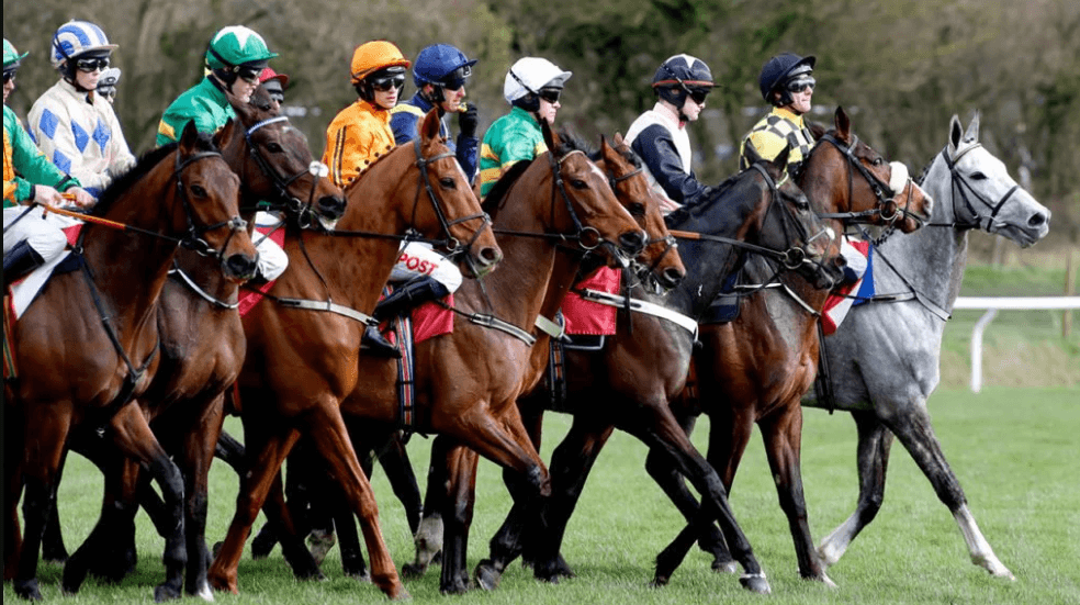 Horse Racing: Understanding the Role of Trainers and Jockeys