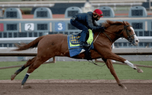 Horse Racing: Understanding the Science of Horse Performance