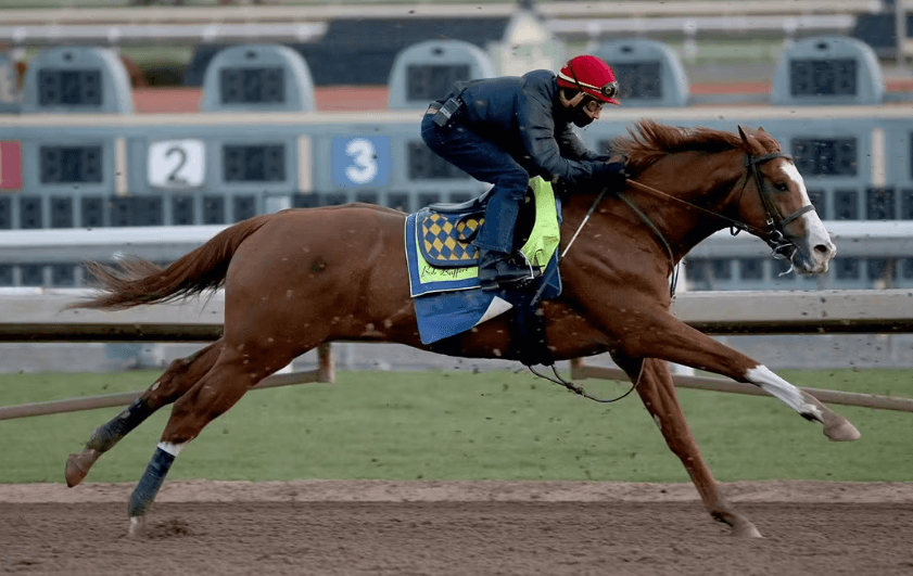 Horse Racing: Understanding the Science of Horse Performance