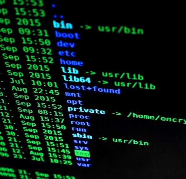Digital Network Authentication File – 9375630311, 2082681330, 8042142128, 4235160184, 7603936023